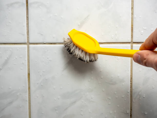 Best Residential Mold Removal  in Worcester, MA