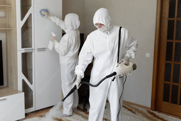 Best Mold Damage Repair  in Worcester, MA