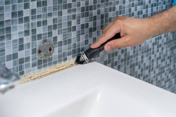 Best Mold Testing  in Worcester, MA