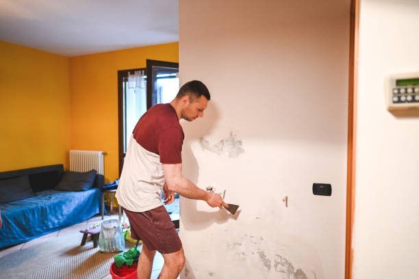 Best Mold Cleaning Services  in Worcester, MA